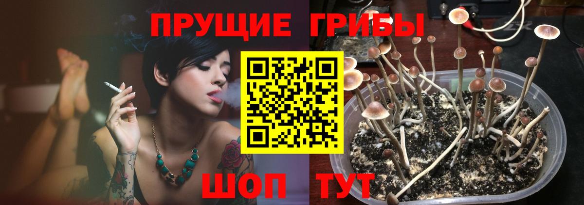 Галлюциногенные грибы MAGIC MUSHROOMS Дзержинск