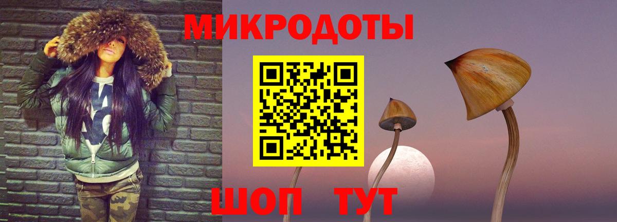 Дзержинск  купить закладку  Вход с VPN  Галлюциногенные грибы Psilocybe 